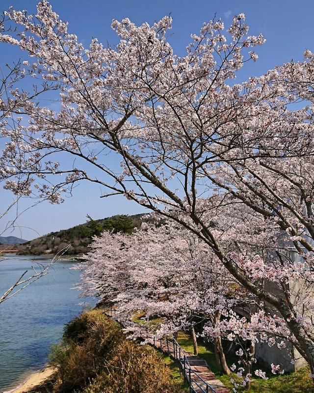 施設からの眺望