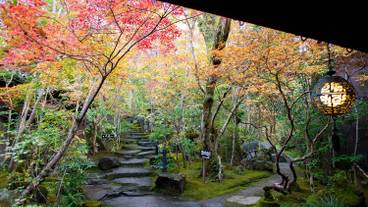 敷地内の風景／秋 / 3