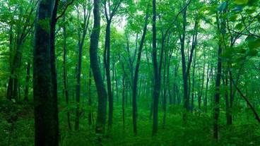 施設の敷地 / 12