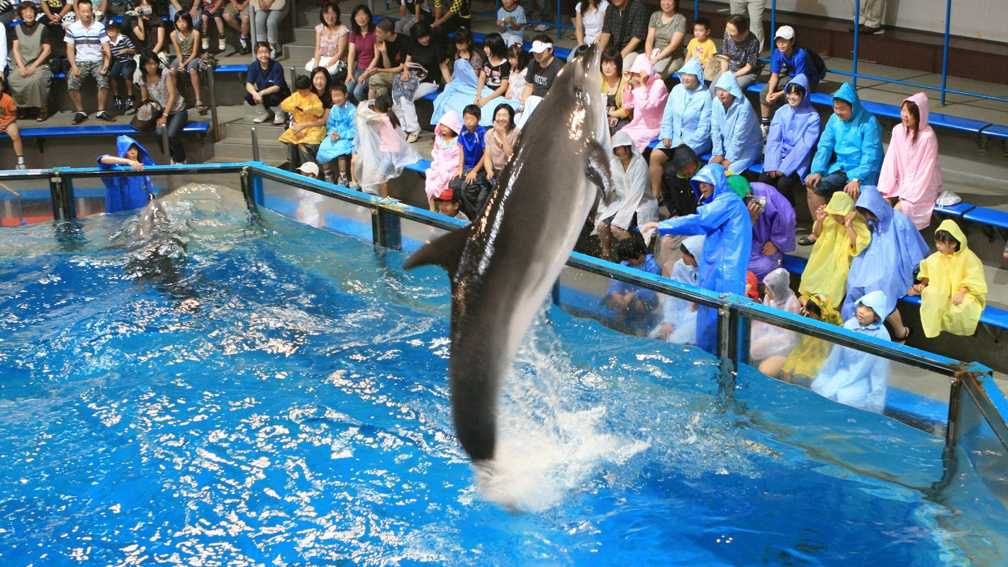 登別マリンパークニクス