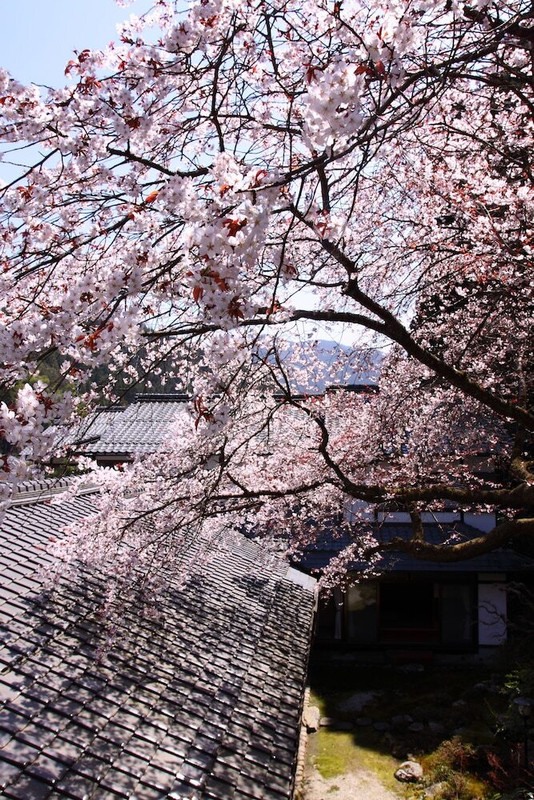 部屋からの景観