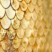 ニッコースタイル名古屋（愛知県 シティホテル） / 2