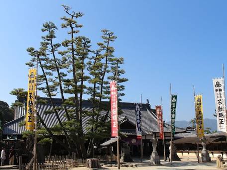 宮島シーサイドホテル / 5