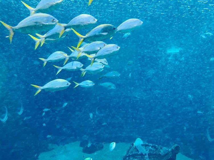 ma.ri7072さんの写真 / 4