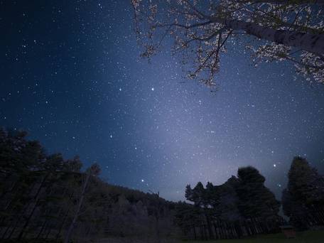 芦別温泉スターライトホテル＆おふろcafe星遊館 / 5