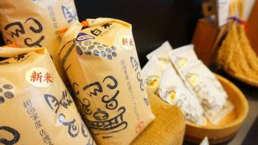 食事・飲み物 / 1