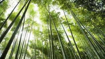 施設の敷地 / 15