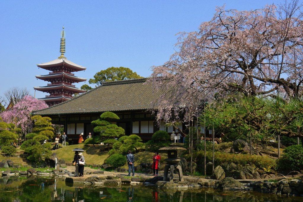 浅草寺の本坊「伝法院」1464587