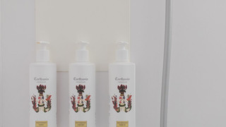 トラディショナル ルーム 禁煙 オーシャンビュー