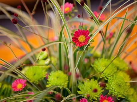 由布院温泉 旅想 ゆふいん やまだ屋 / 5