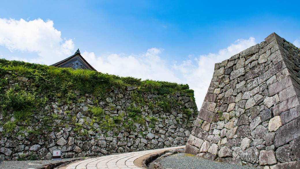 丹波篠山城の石垣 / 2