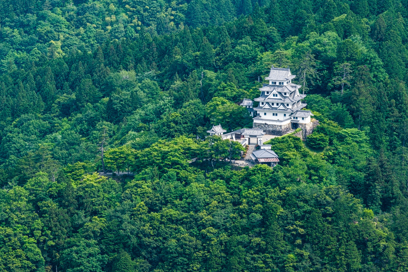 東殿山山頂から望む郡上八幡城