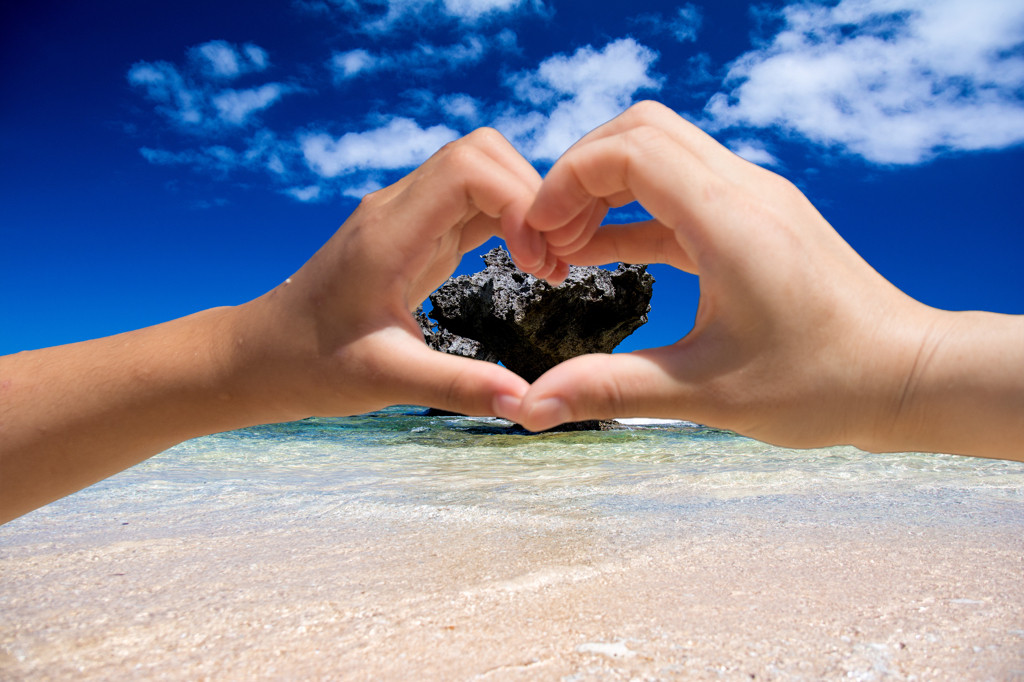 ハートロック678870