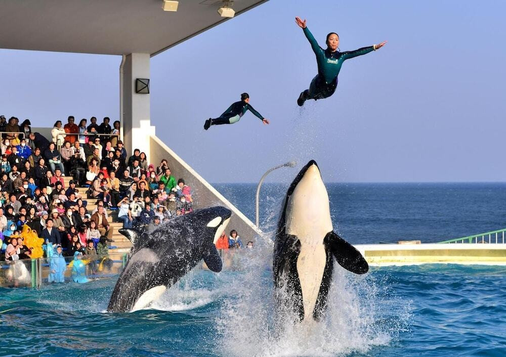 滞在中何度も「鴨川シーワールド」に入館可能！唯一のオフィシャルホテル4257929