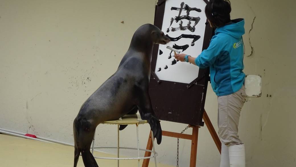 書道もできる器用なアシカ / 2