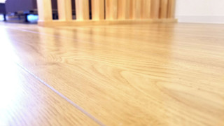 フローリングトリプルルーム禁煙 シャワーブースのみ/靴を脱いでご利用ください