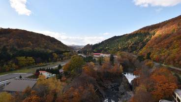 ランド ビュー / 24