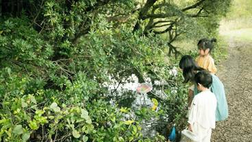 子供用の遊び場 - 屋外 / 7