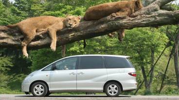 観光スポット / 11