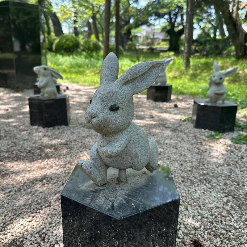 kasuchaaaaanさんの写真 / 1