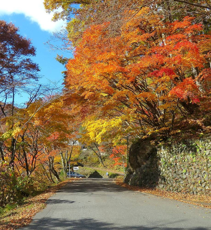 温泉手前の紅葉
