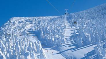 スノー スポーツとスキー / 2