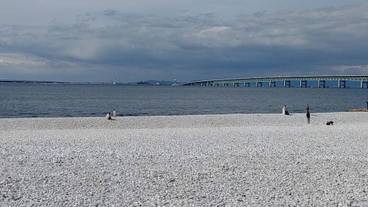 ランド ビュー / 25