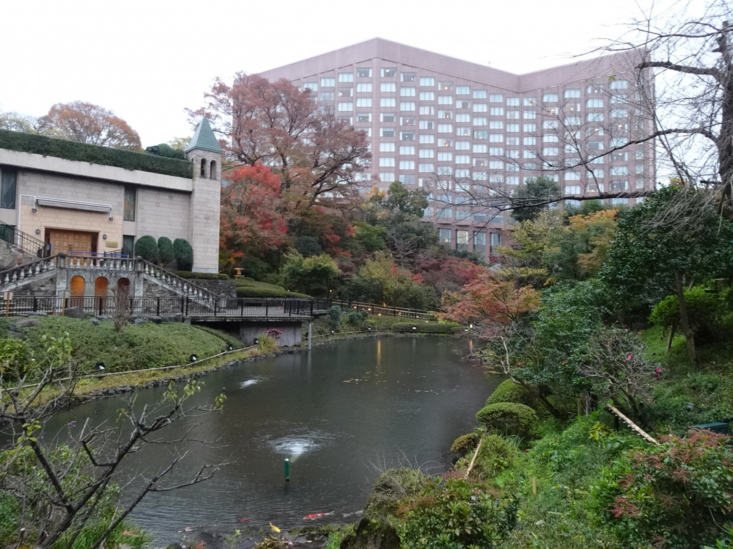 日本庭園から見たホテル