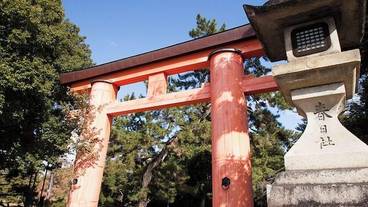 施設からの眺望 / 28