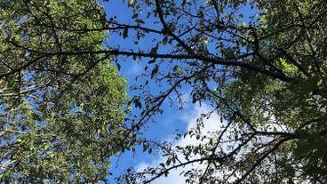 施設からの眺望 / 18