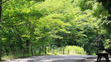 施設の敷地 / 12