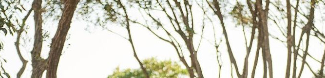 【伊勢志摩】大切な日を祝う特別な一日に♡"記念日プラン＆記念日を彩るサービス"のあるホテル＆旅館9選