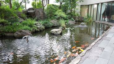 ロビー応接スペース / 31