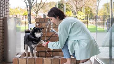 ペット用設備・サービス / 4