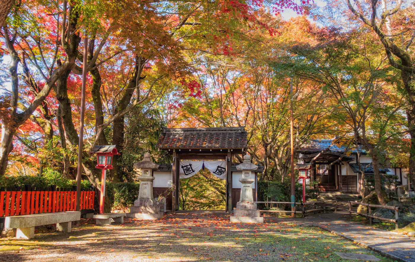 京都、松ヶ崎大黒天(妙円寺)の門と境内の美しい紅葉の風景です