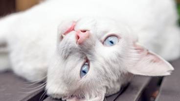 施設の敷地 / 21