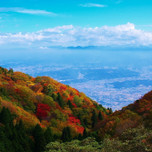 【奈良】歴史と神秘の吉野へ。カップルにおすすめの旅館7選