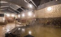 天然温泉プレミアホテル－CABIN－札幌（テンネンオンセンプレミアホテル キャビン サッポロ）
