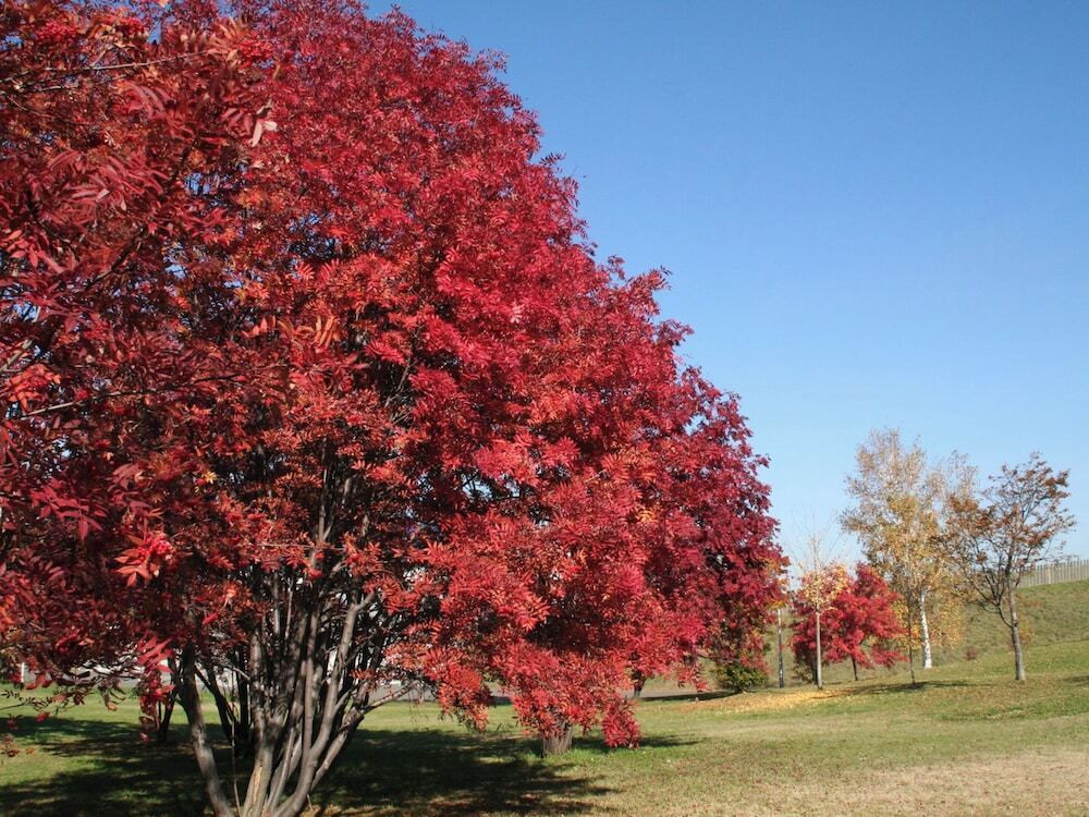施設からの眺望
