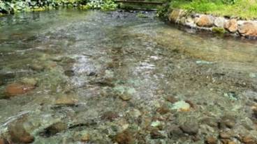 観光スポット / 29