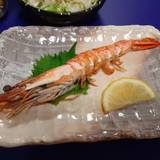 ペンション シオサイ（ペンションシオサイ）