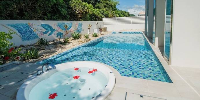 Pool Villa Sanrriott Okinawa Motobu（沖縄県 別荘・ヴィラ・コンドミニアム） / 1