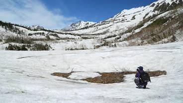 スノー スポーツとスキー / 11