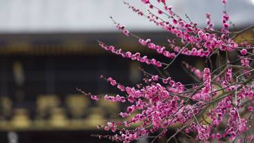 観光スポット / 10