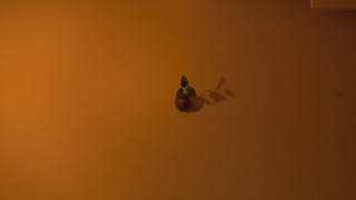 スイート ガーデンビュー 老松 (禁煙)