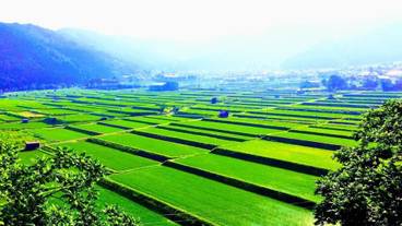 シティ ビュー / 24