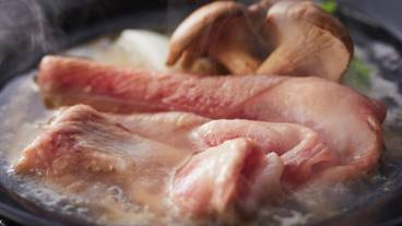 食事・飲み物 / 10