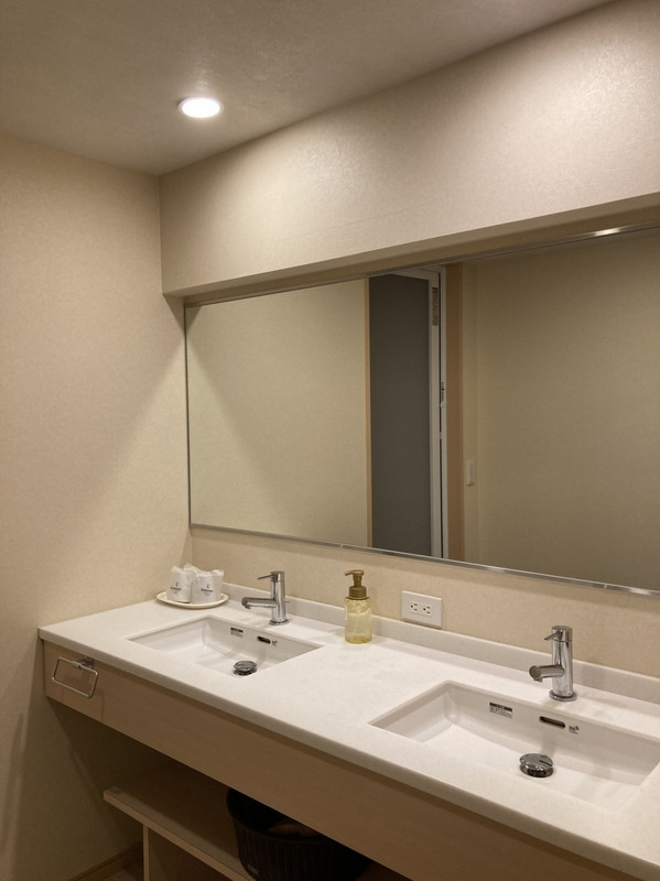 お部屋の洗面エリア。