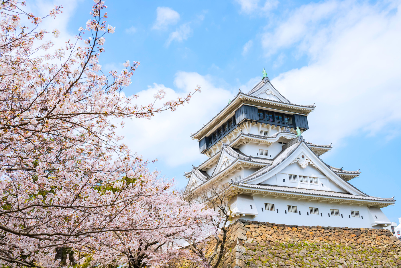 桜が見頃の美しい小倉城
