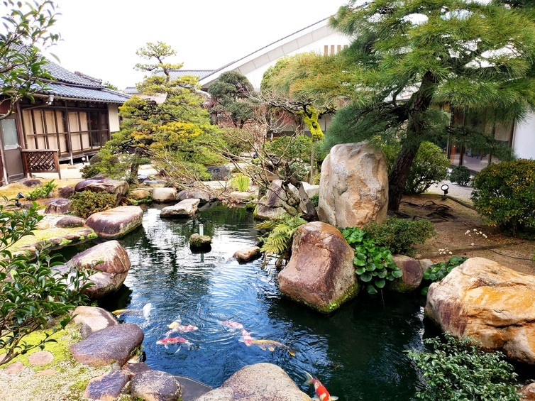 さぎの湯荘3849806